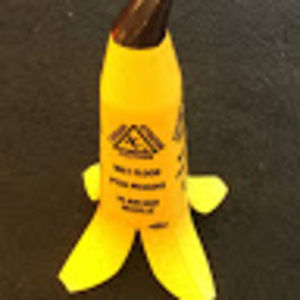 Meet your Posher, Gabriela